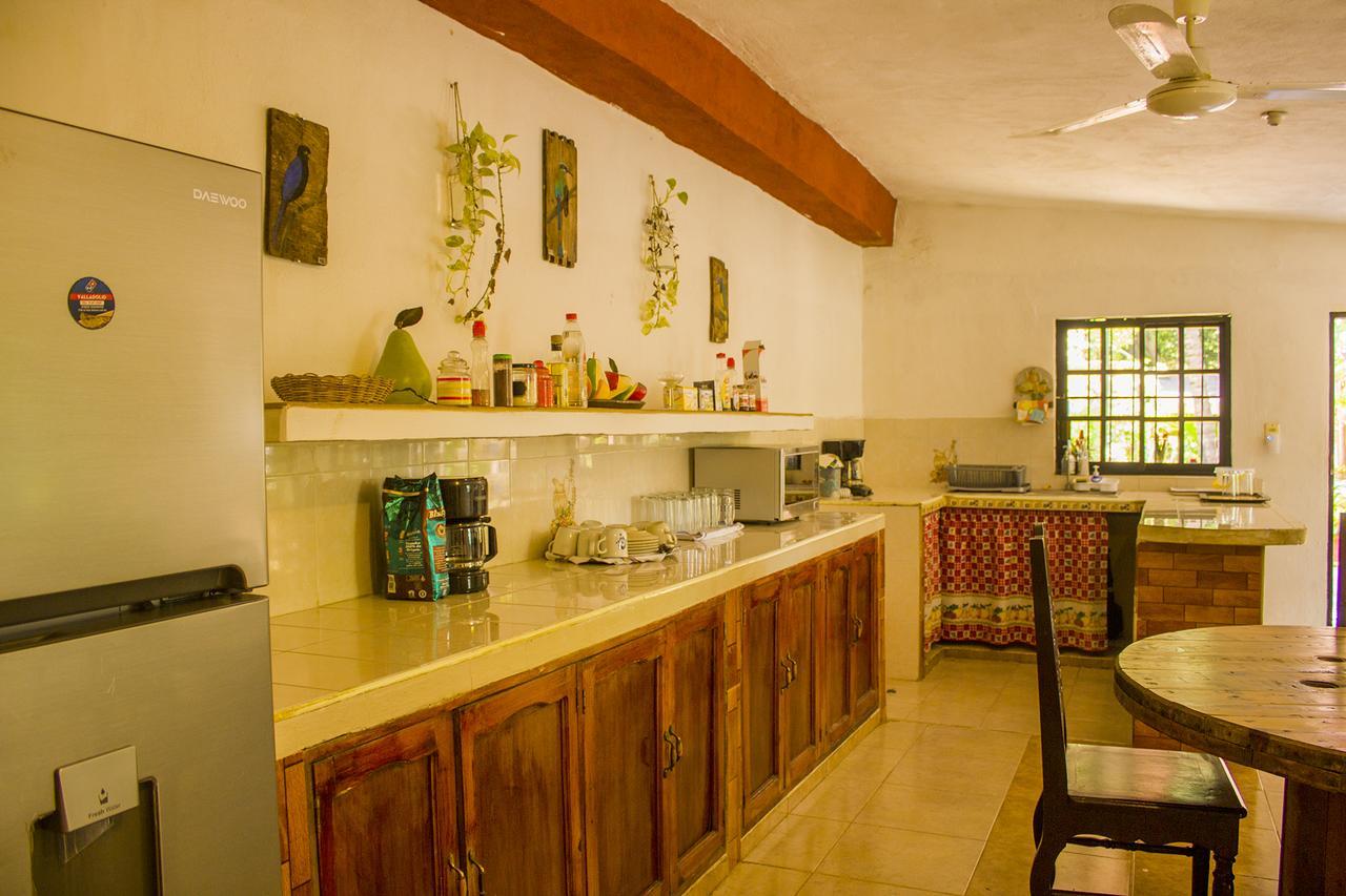 Casa De Los Pajaros - B&B Valladolid  Exterior photo